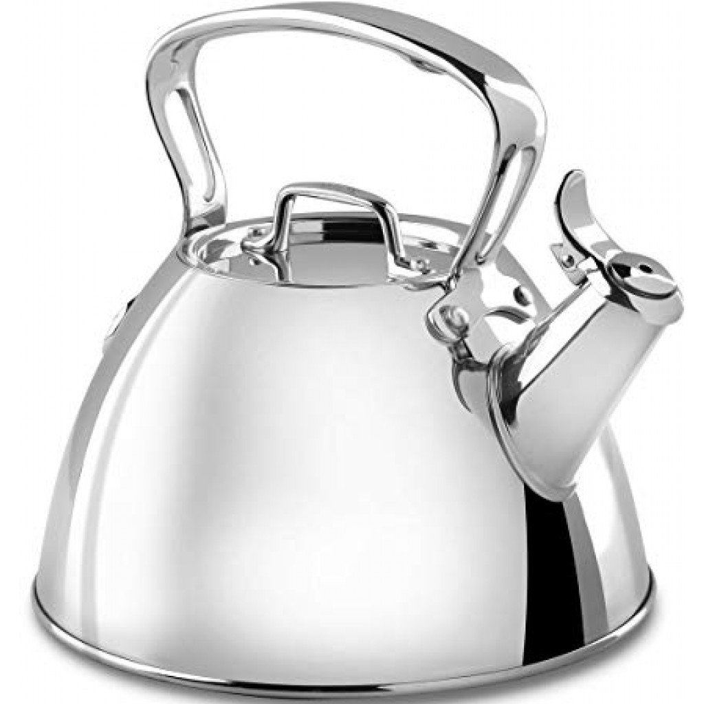 All-Clad Tea Kettle