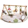 Tiny Love Boho Luxe Gymini Playground