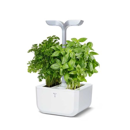 VERITABLE Exky SMART Arctic White Indoor Garden