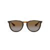 Ray-Ban Erika Sunglasses - Polar Brown Gradient