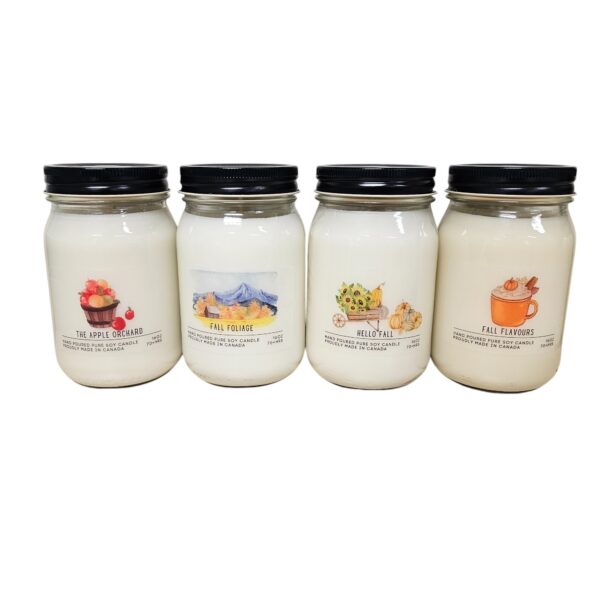 Serendipity Soy Candles - Fall Rustic Collection 4 16oz Mason jar Candles