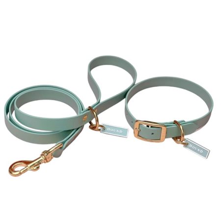 HOUND Collection Jellies - Waterproof Leash and Collar Set - Aloe - Size MEDIUM  