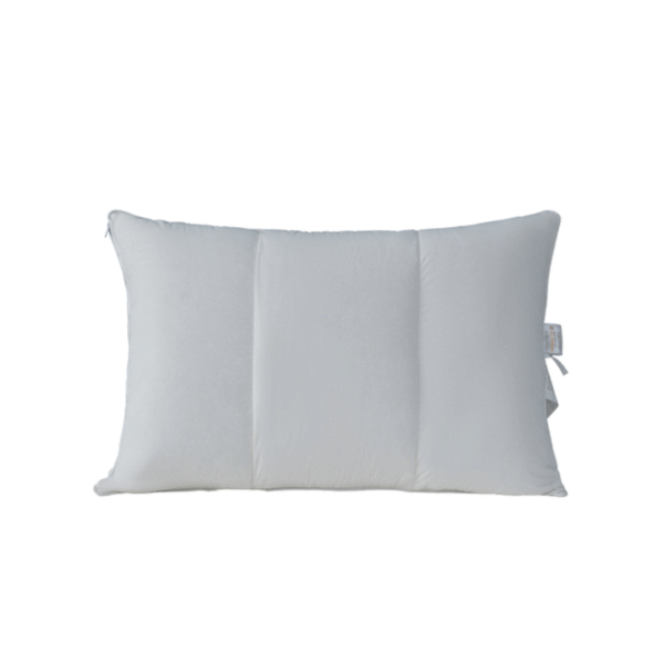 Twin ducks Adjustable Cologne Pillow - Down Pillow Protector + Memory Foam Core King Pillow Set- one pair 9/45oz