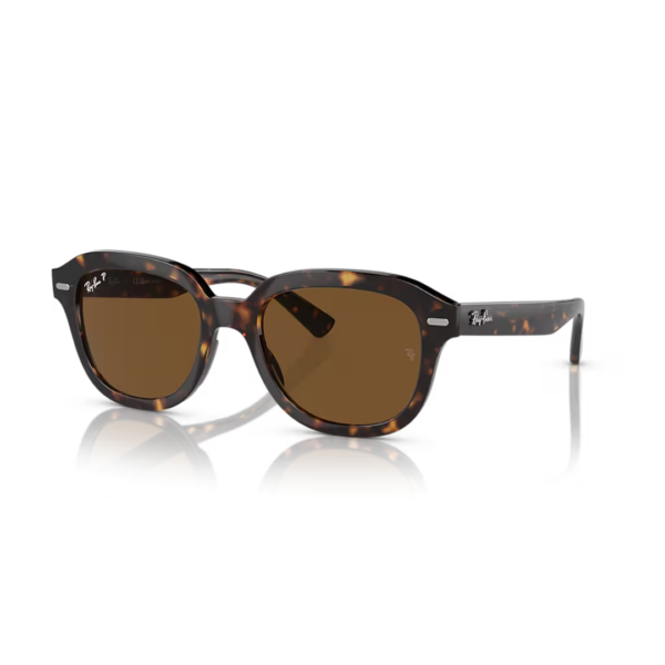 Ray Ban Erik Sunglasses in Havana & Brown