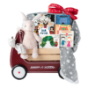 Baskits First Steps Gift Basket