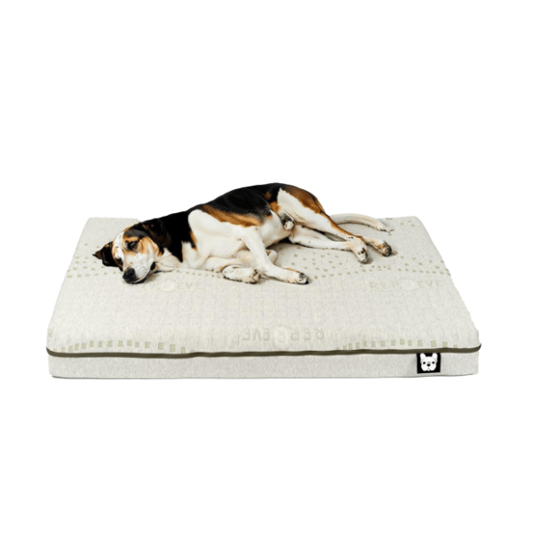 Silver Paw Eko Bed - Large